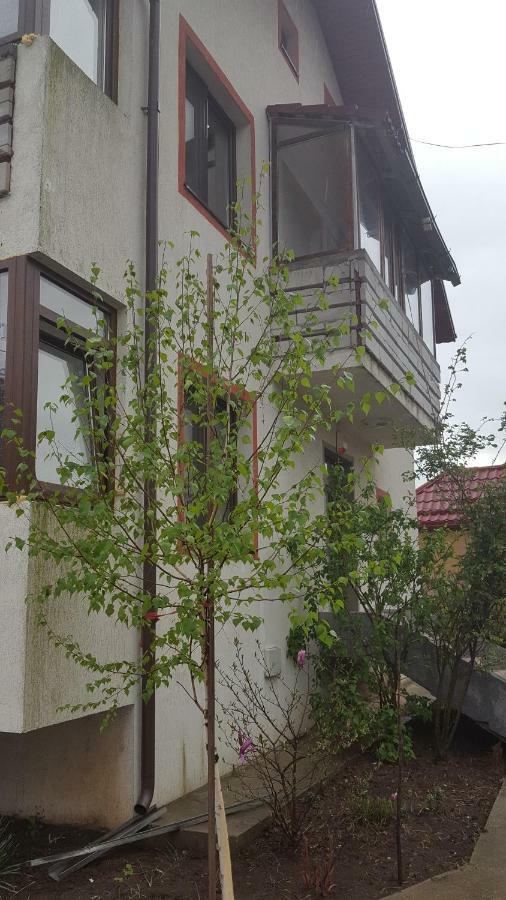 شقة Casa Soarelui Roşu المظهر الخارجي الصورة
